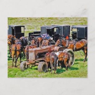 Tractor as Hitching Post Postcard