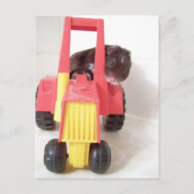 tractor driving noah postcard (Front)