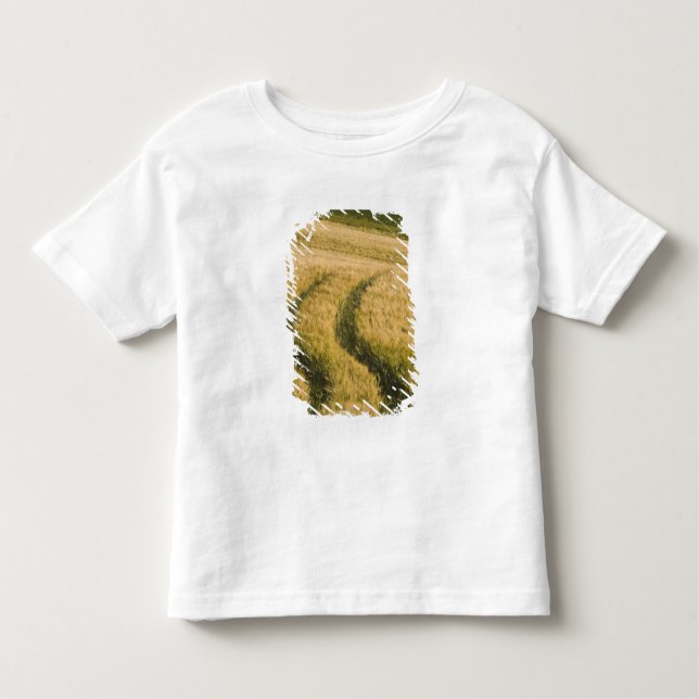 Tractors tracks through wheat, Tuscany, Italy Toddler T-Shirt (Front)