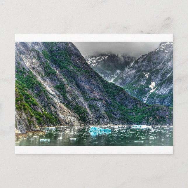 Tracy Arm Fjord in Alaska Postcard (Front)