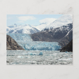 Tracy Arm Fjord Postcard