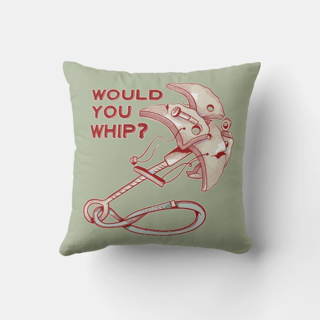 TRAD CLIMBING WHIPPER FALL CUSHION (Back)