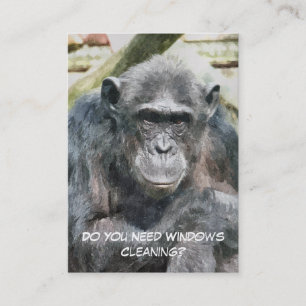 TRADES WINDOW CLEANING BUSINESS CARD