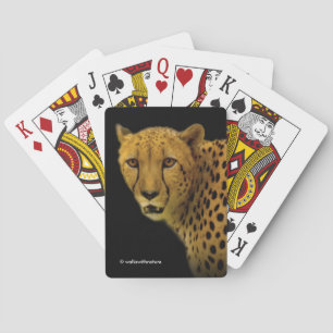 Trading Glances with a Magnificent Cheetah Playing Cards