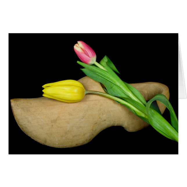 Tradition (Front Horizontal)