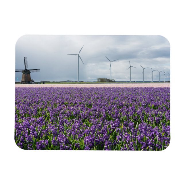 Traditional and modern windmill in Holland magnet (Horizontal)