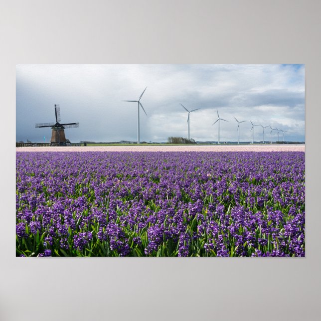 Traditional and modern windmill in Holland poster (Front)