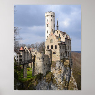 Traditional Castle on Cliff on Cloudy Day Poster