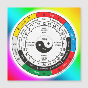 Traditional Chinese Medicine Body Clock Square Sti