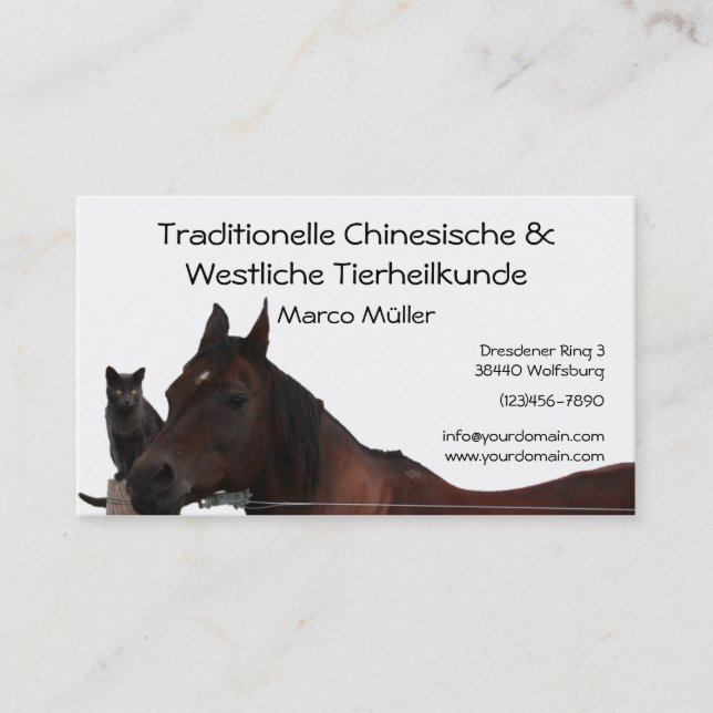 Traditional Chinese & Western Animal Healing Business Card (Front)