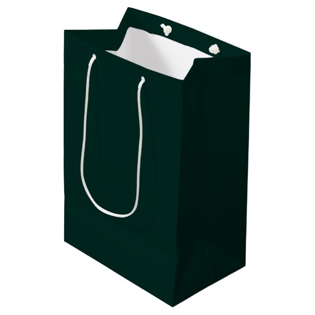 Traditional deep green christmas gift bag  (Front Angled)