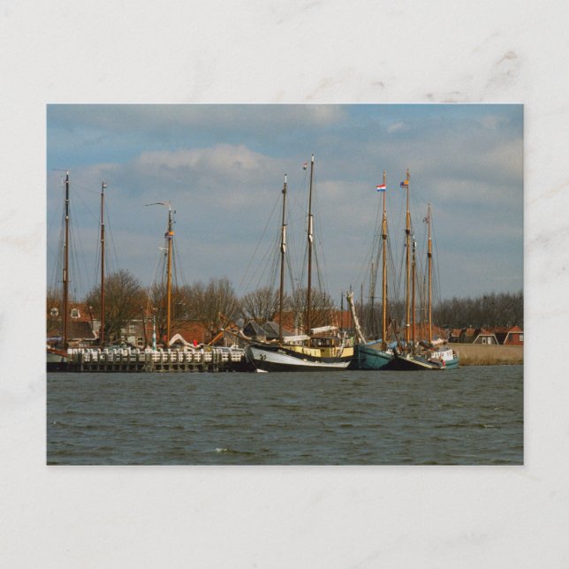 Traditional Dutch Sailing vessels, Enkhuizen Postcard (Front)