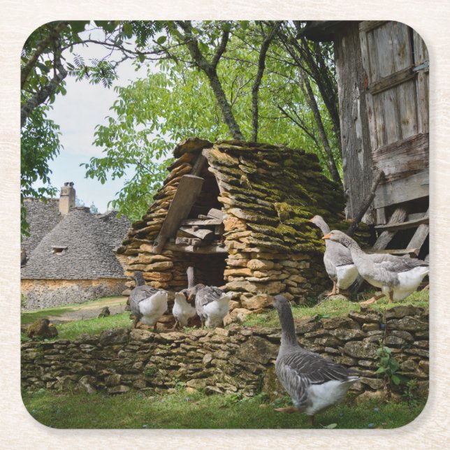 Traditional foie gras goose farm coaster (Front)