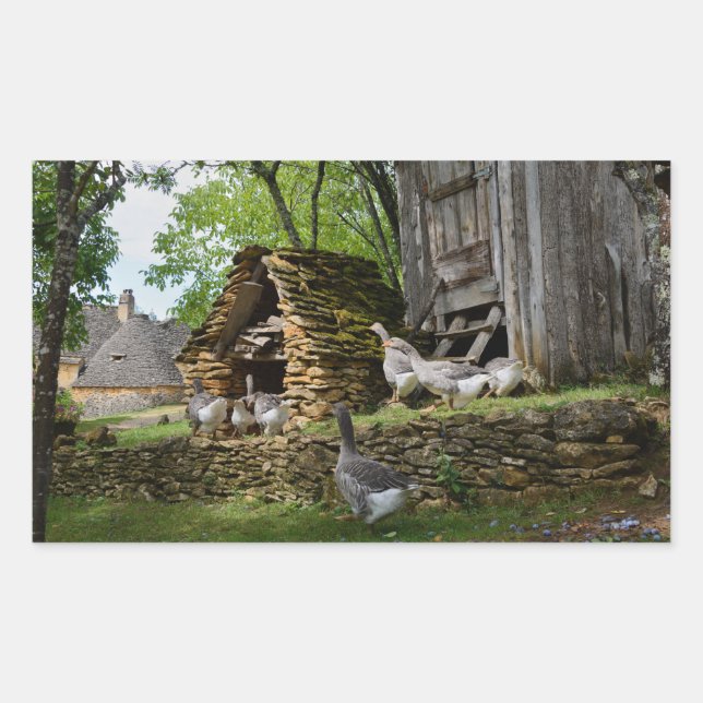 Traditional foie gras goose farm rectangle sticker (Front)