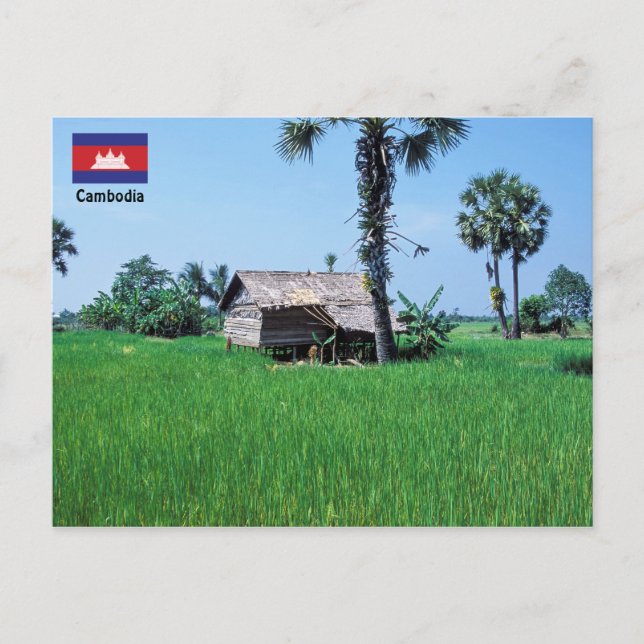 Traditional house - Cambodia Postcard (Front)
