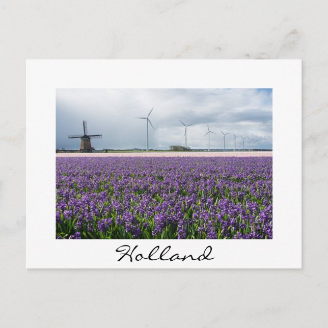 Traditional & modern windmill, Holland white card (Front)