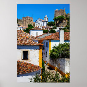 Traditional Red Roof Houses Portugal Poster