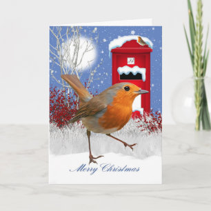 Traditional Robin And Mail Box Christmas Card