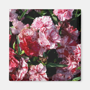 Traditional Wedding Carnations Magnet