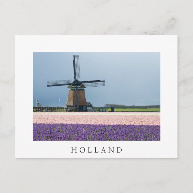 Traditional windmill with pink and purple flowers postcard (Front)