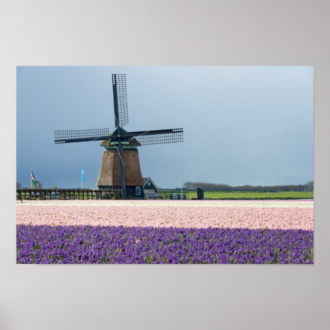 Traditional windmill with pink and purple flowers poster (Front)