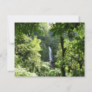 Trafalgar Falls Tropical Rainforest Photography