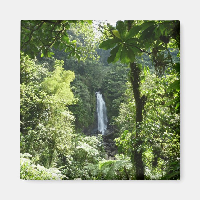 Trafalgar Falls Tropical Rainforest Photography Magnet (Front)