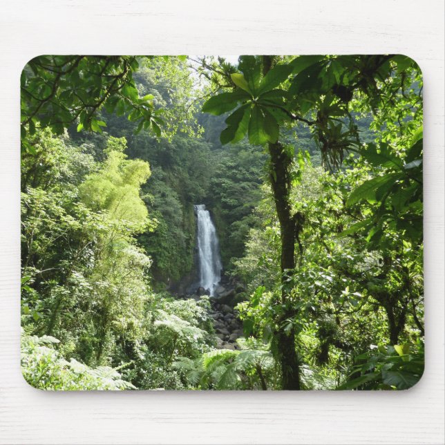 Trafalgar Falls Tropical Rainforest Photography Mouse Pad (Front)