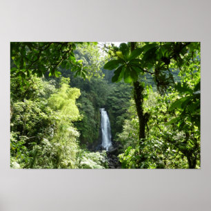Trafalgar Falls Tropical Rainforest Photography Poster