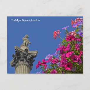 Trafalgar Square Nelson's Column, London UK Postcard