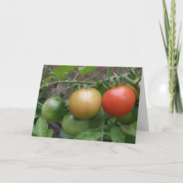 Traffic Light Tomatoes Greeting Card (Front)