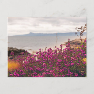 Traigh Beach and Eigg Postcard