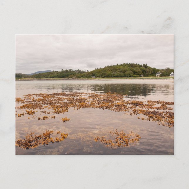 Traigh Beach Postcard (Front)