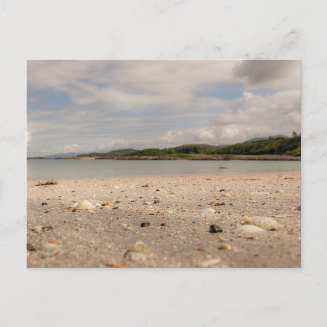 Traigh Beach Shells Postcard (Front)