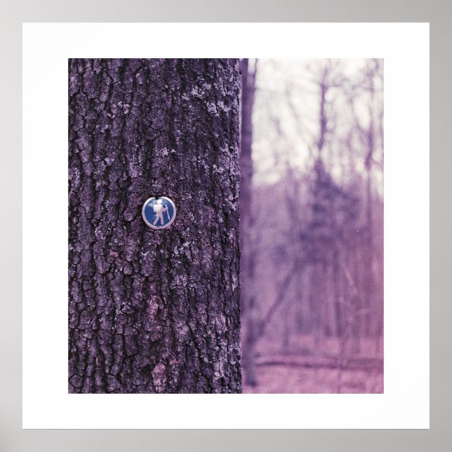 Trail at Dunbar Cave State Park Poster (Front)