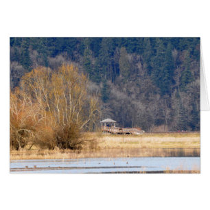 Trail at Nisqually National Wildlife Refuge