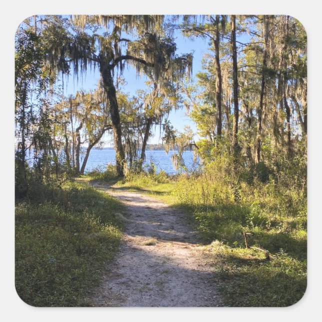 Trail By The River Square Sticker (Front)