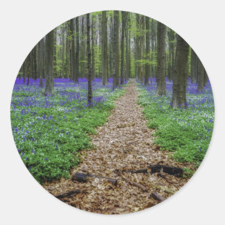 Trail Classic Round Sticker