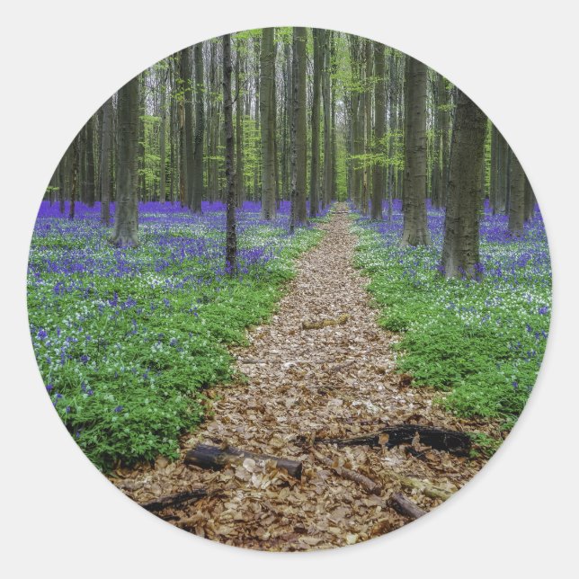 Trail Classic Round Sticker (Front)