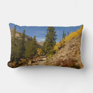 Trail from the Loch at Rocky Mountains Lumbar Cushion
