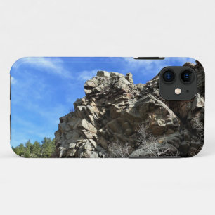 Trail in Jefferson County, Colorado iPhone 11 Case