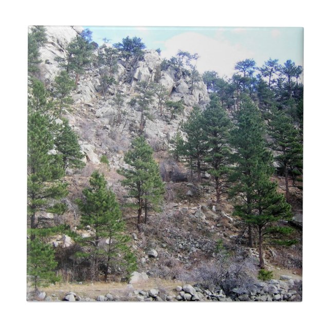 Trail in Jefferson County, Colorado Ceramic Tile (Front)