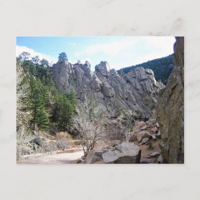 Trail in Jefferson County, Colorado Postcard (Front)