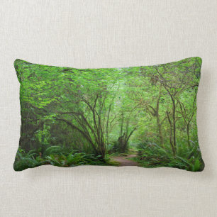 Trail in Redwood Forest Lumbar Cushion