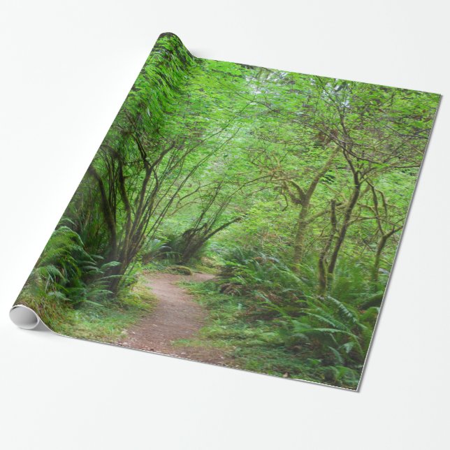 Trail in Redwood Forest Wrapping Paper (Unrolled)