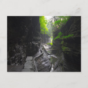 Trail in Watkins Glen, New York Postcard