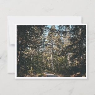 Trail Postcard