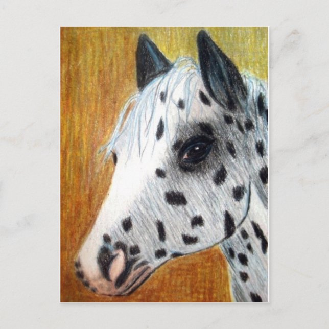 "Trail Ride" Appalloosa Horse Postcard (Front)