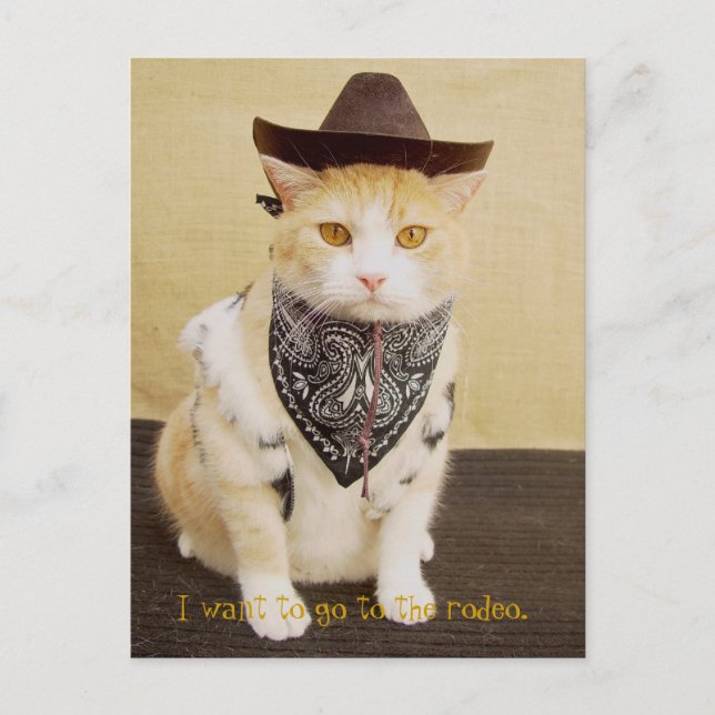 Trail Rider Bubba Postcard (Front)