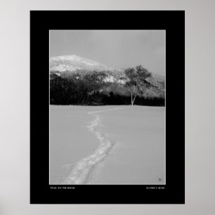 Trail to a Birch in Winter (Monochrome) Poster